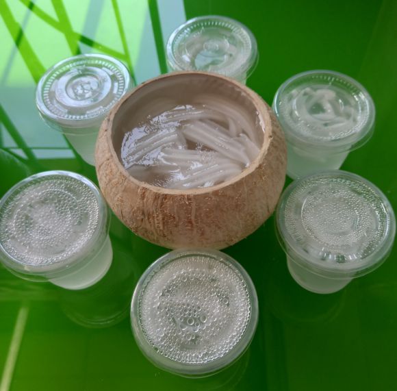 Thú cưng