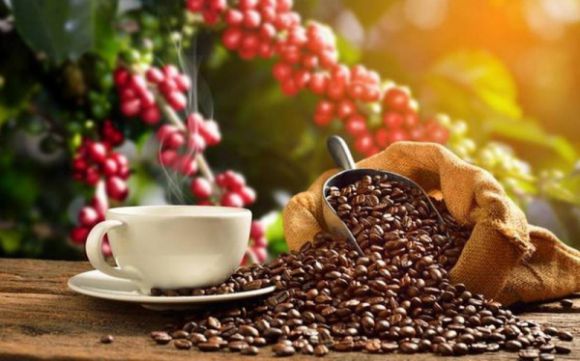 Cà phê - Trà sữa - Đồ uống
