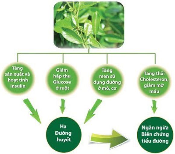 Thiết bị y tế