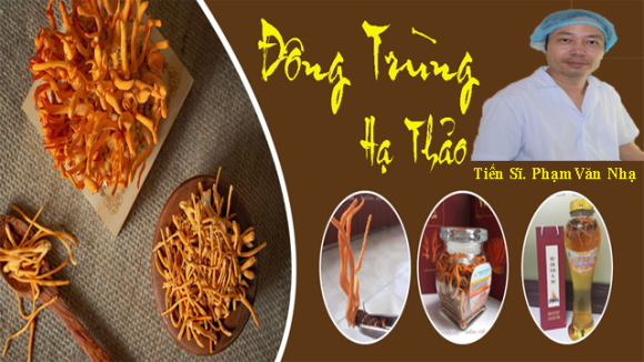 Đông trùng hạ thảo