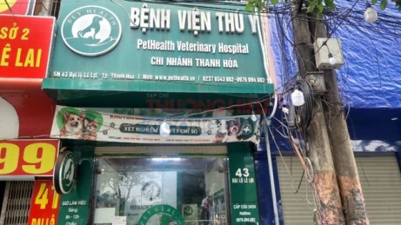 Phòng khám thú y