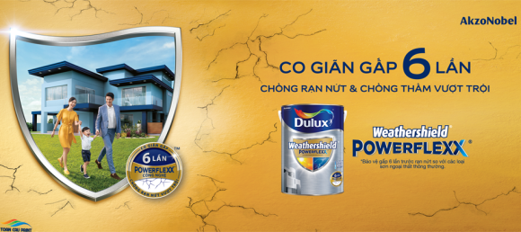 Sơn nước - Sơn gỗ