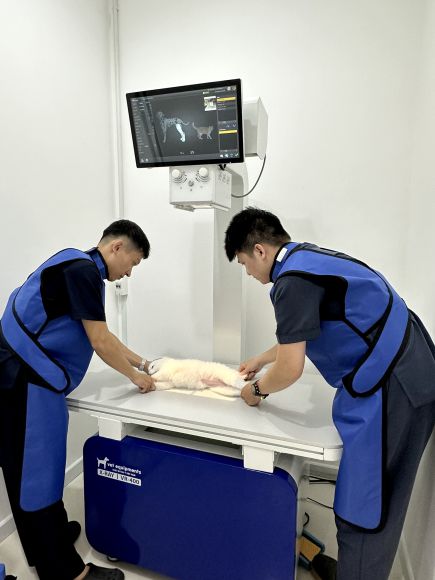 Phòng khám thú y
