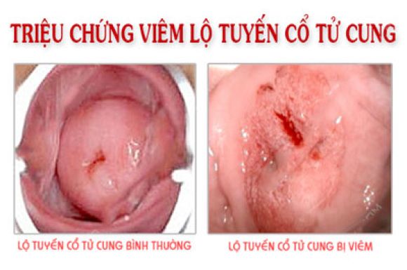 Phòng khám y dược