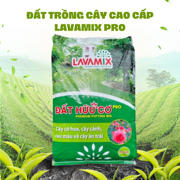 Nông trại Việt