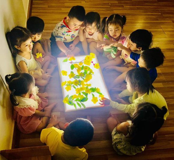 Mầm non