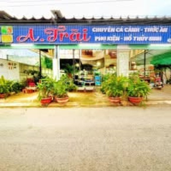 Cá cảnh