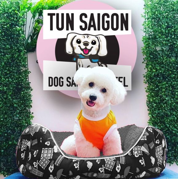 Thú cưng