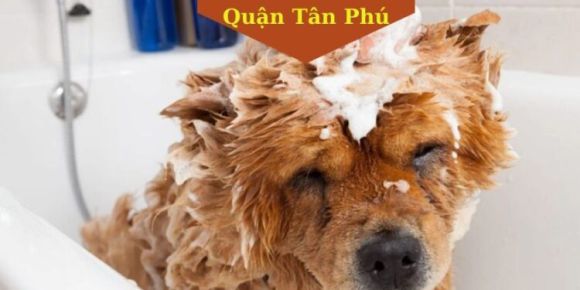 Thú cưng