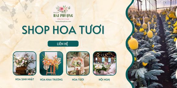 bình hoa
