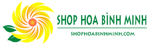 Trang trí sinh nhật