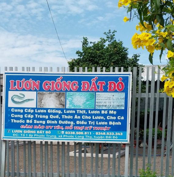 Thực phẩm sạch