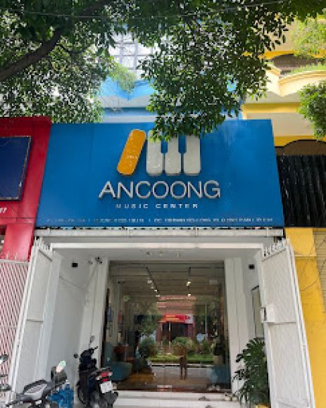 Nhạc cụ - Nhạc sống - Khoá học âm nhạc