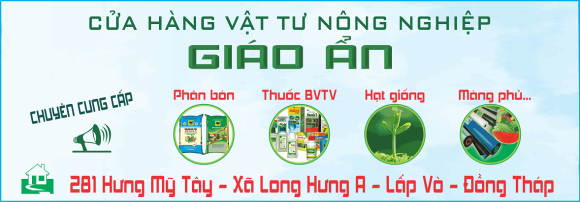 Thực phẩm sạch