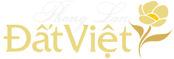 Hoa tươi
