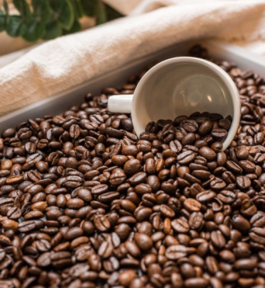 Thực phẩm sạch