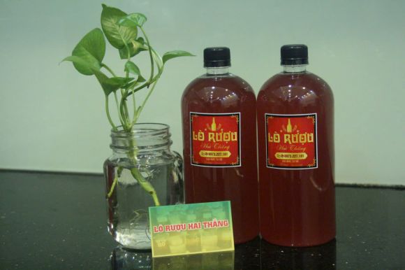 Hầm rượu