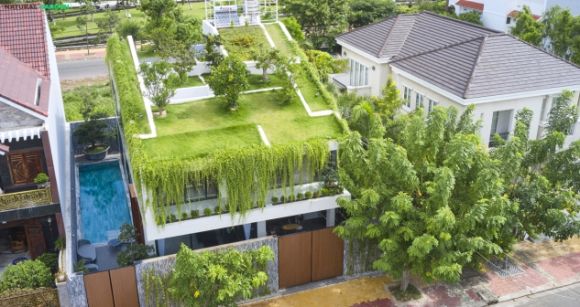 Cỏ sân vườn