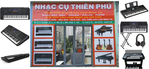 Nhạc cụ - Nhạc sống - Khoá học âm nhạc