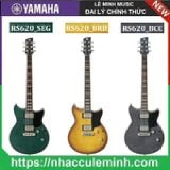 Nhạc cụ - Nhạc sống - Khoá học âm nhạc
