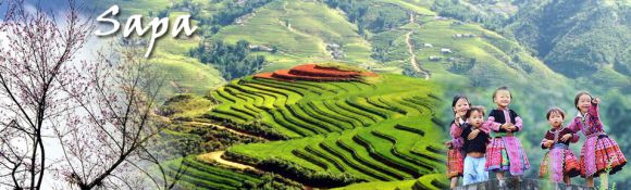 Du lịch - Tour du lịch