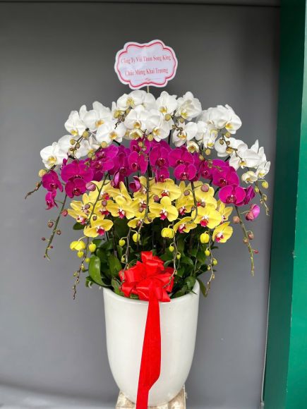 Hoa tươi