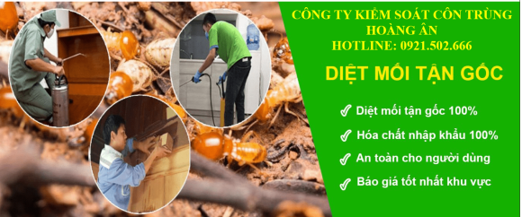 Cửa Lưới Chống Muỗi