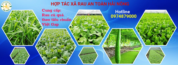 Thực phẩm sạch