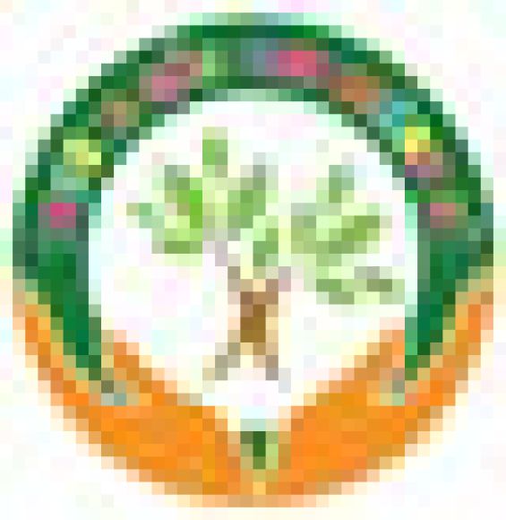 Giáo dục trẻ tự kỷ
