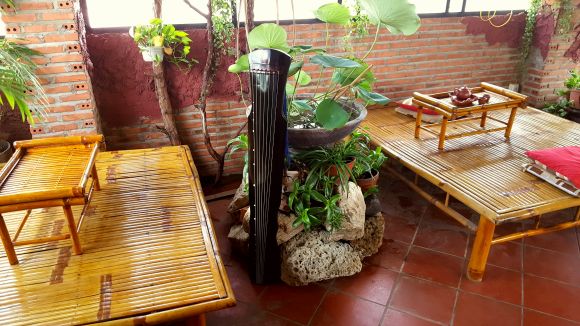 Nhạc cụ - Nhạc sống - Khoá học âm nhạc