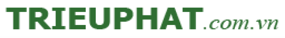 Thiết kế website