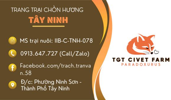Thú cưng