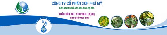 Thực phẩm sạch