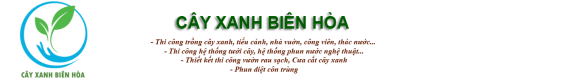 Cỏ sân vườn