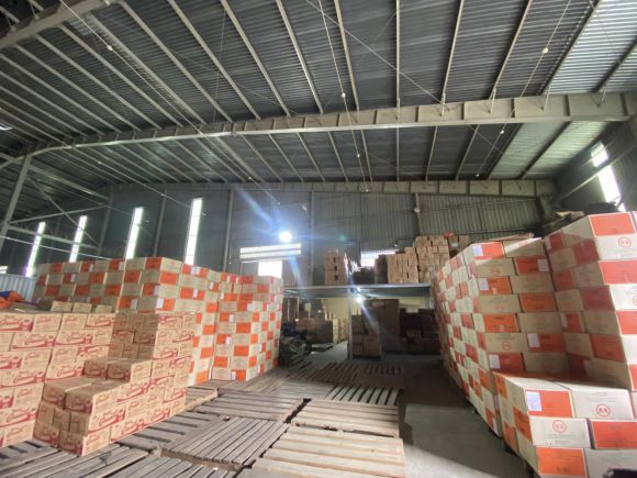 Trung Tâm Cát Tường - Chuyên Đào Tạo Xuất Nhập Khẩu và Logistics, Nâng Cao Năng Lực Chuyên Nghiệp