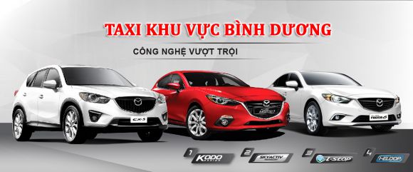 Dịch vụ cho thuê