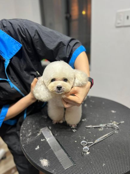 Salon làm tóc - Cắt tóc nam