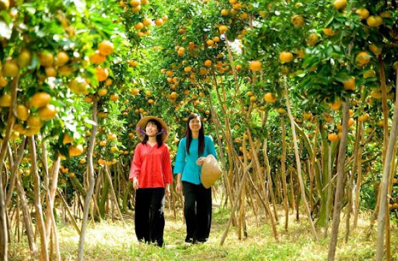 Du lịch - Tour du lịch