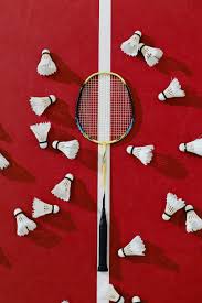 Top 3 Cửa Hàng Cầu Lông Chính Hãng, Giá Tốt, Chất Lượng và Uy Tín tại TP HCM: Nơi Đáng Tin Cậy cho các Lông thủ