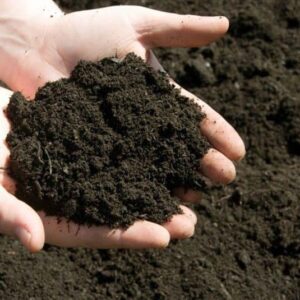 TOP 3 SẢN PHẨM BÁN CHẠY NHẤT TẠI CỬA HÀNG PHÂN BÓN THÀNH NGHĨA