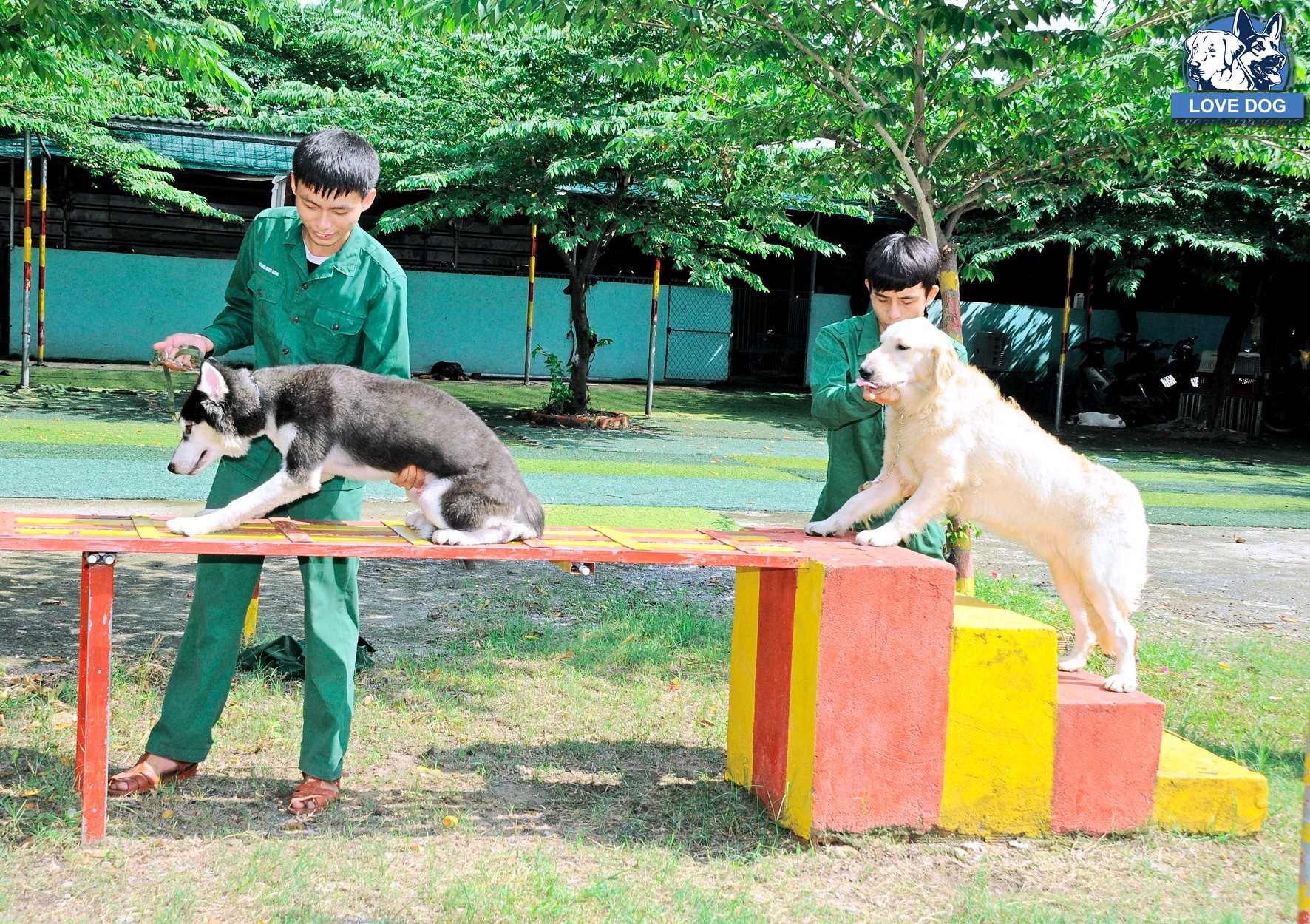 TOP 3 CÁC BÊN DỊCH VỤ HUẤN LUYỆN CHÓ CHUYÊN NGHIỆP TẠI TPHCM