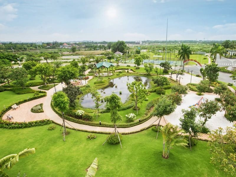 TOP 3 LÝ DO NÊN CHỌN CÂY CẢNH TRÀ VINH - XE CẨU NGỌC CHÂU LÀ ĐƠN VỊ CUNG CẤP DỊCH VỤ XE CẨU VÀ CÂY CÔNG TRÌNH; CÂY SÂN VƯỜN; CÂY HOA QUẢ UY TÍN TẠI TRÀ VINH