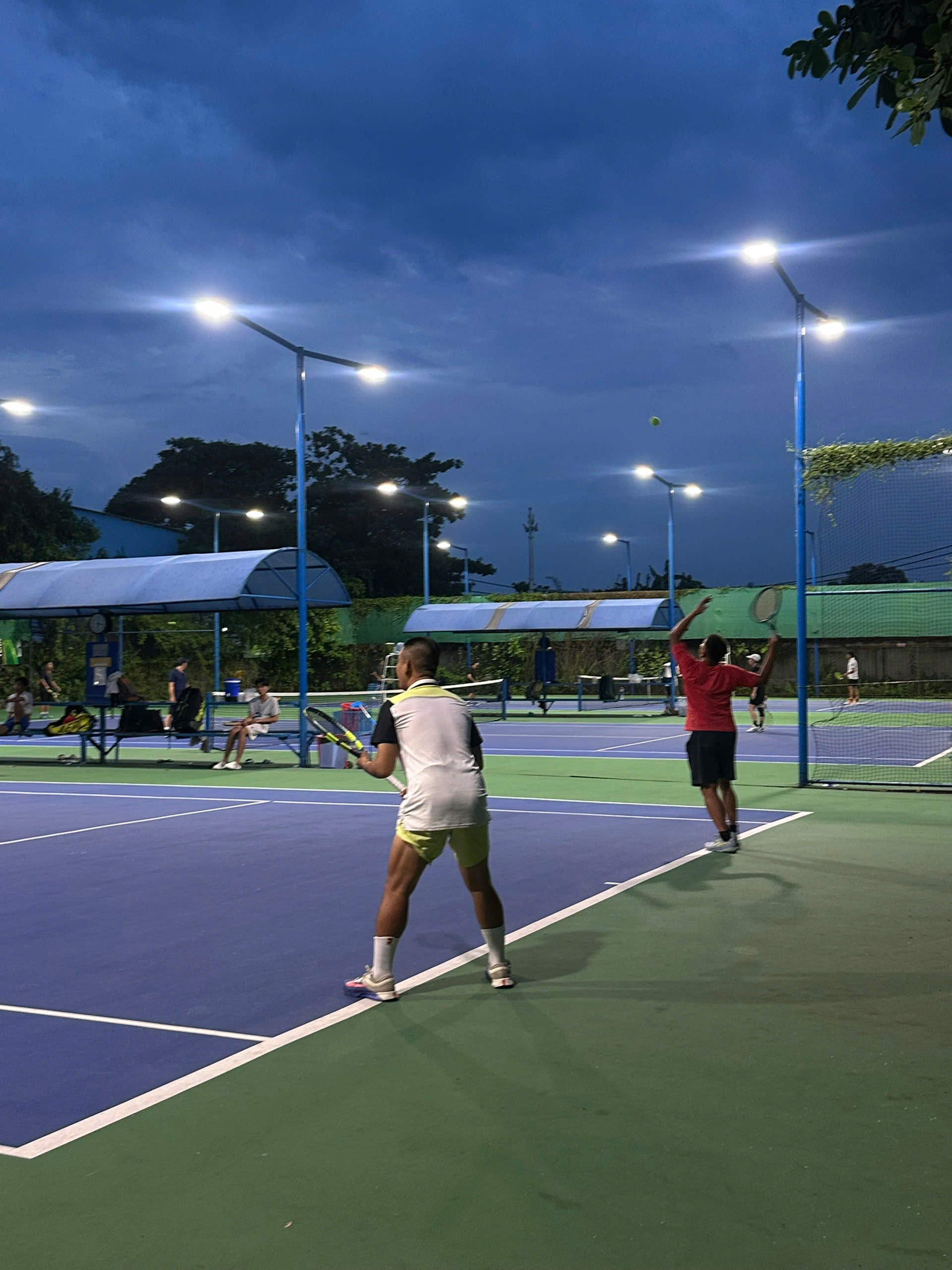 Top 3 Sân Tennis Quận 8 Uy Tín, Chất Lượng Nhất Cho Người Mới