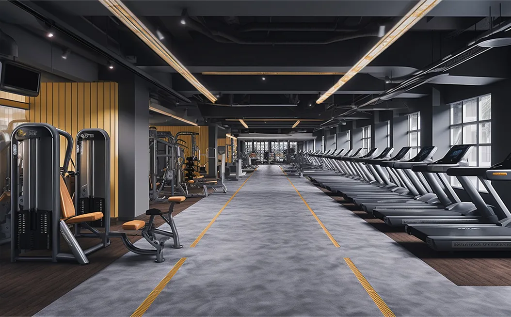 Khám Phá Top 3 Cơ Sở Gym Chất Lượng Tốt Nhất tại Quận 7