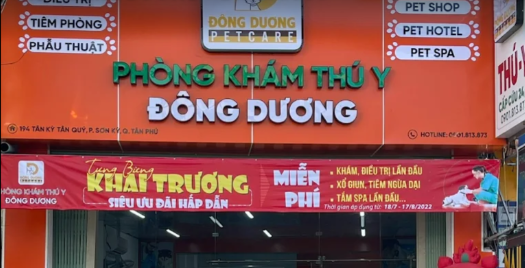 Top 3 Phòng Khám Thú Y Giá Hợp Lý, Nhiệt Tình, Chuyên Nghiệp Tại Tân Phú, TP.HCM