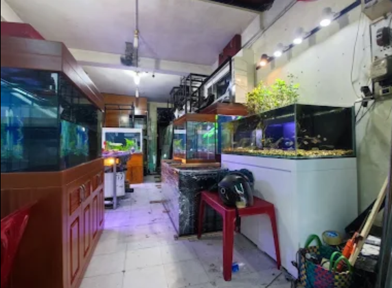 Top 3 Cửa Hàng Hồ Cá Kiểng Đẹp Tại Quận 3 TP. HCM