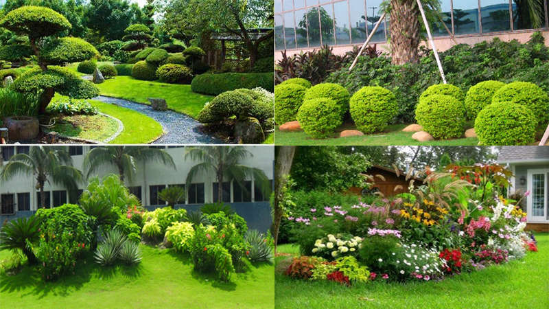 Dịch Vụ Chăm Sóc, Cắt Tỉa Và Di Dời Cây Xanh Tại Bình Dương - Uy Tín, Chuyên Nghiệp