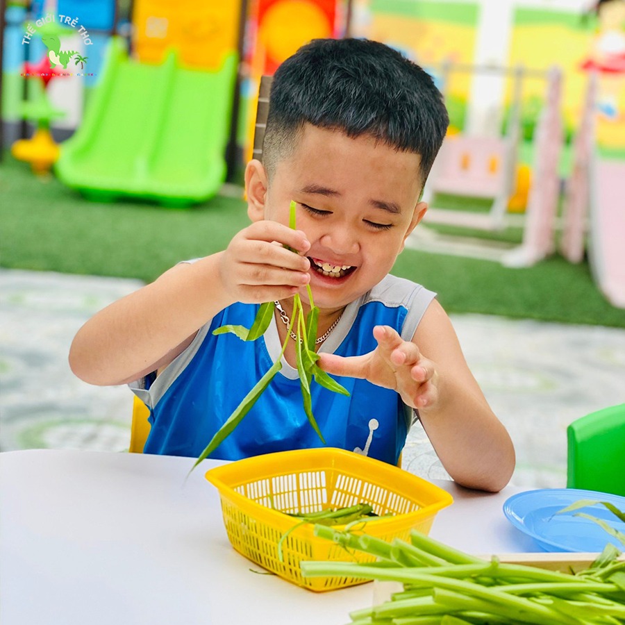 Khám Phá Thế Giới Trẻ Thơ - Nơi Mỗi Ngày Đều Là Một Cuộc Phiêu Lưu!