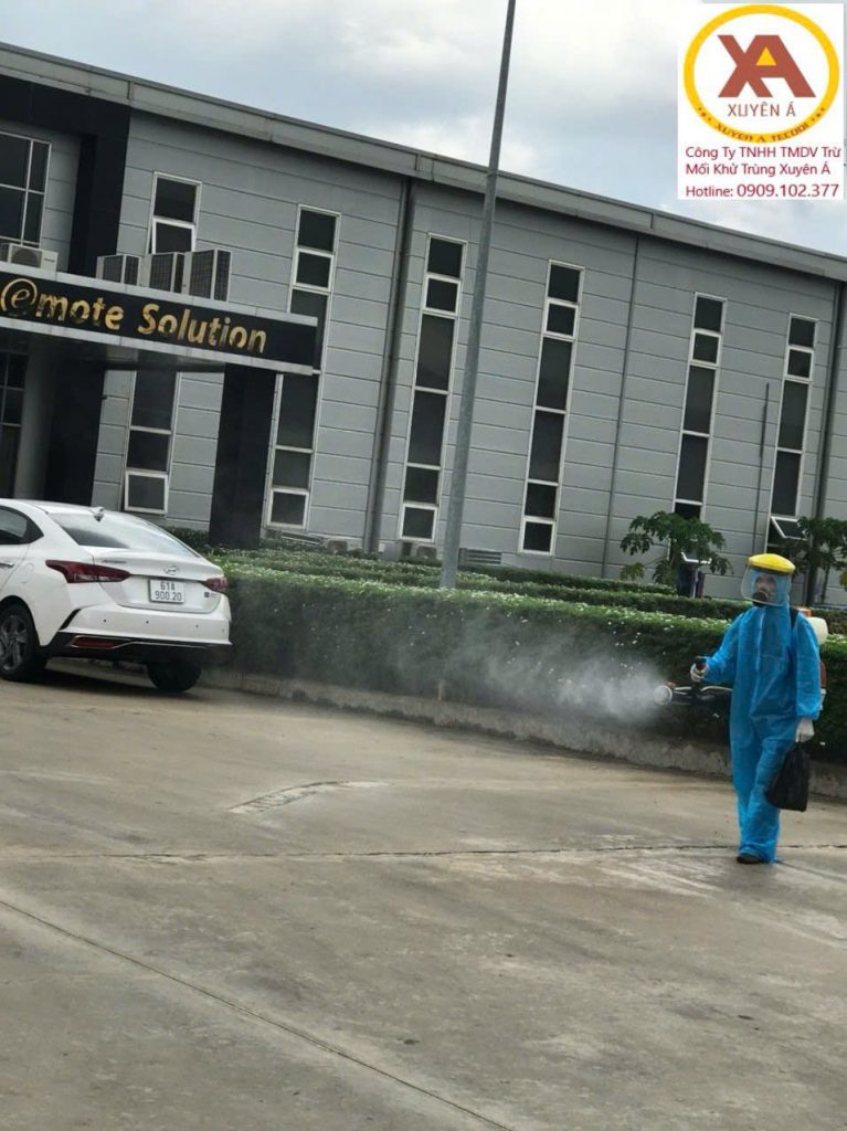 Top 3 Đơn vị Kiểm soát và xử lý côn trùng chuyên nghiệp, uy tín tại TP. Hồ Chí Minh