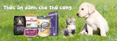 TOP 3 Đơn Vị Cung Cấp Thức Ăn Và Đồ Chơi Cho Thú Cưng Tại Bình Thạnh, Hồ Chí Minh